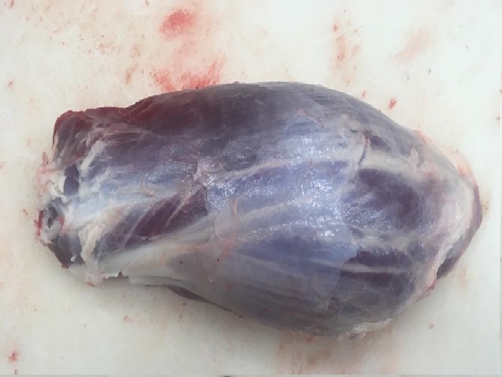 无骨前腱（金钱腱）